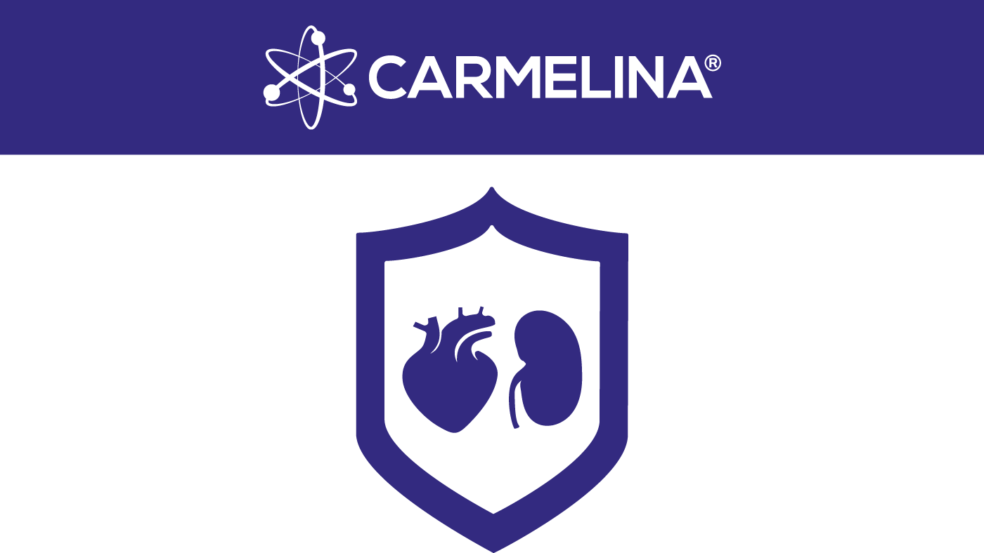 CARMELINA assessed the cardiovascular and kidney safety profile of Trajenta