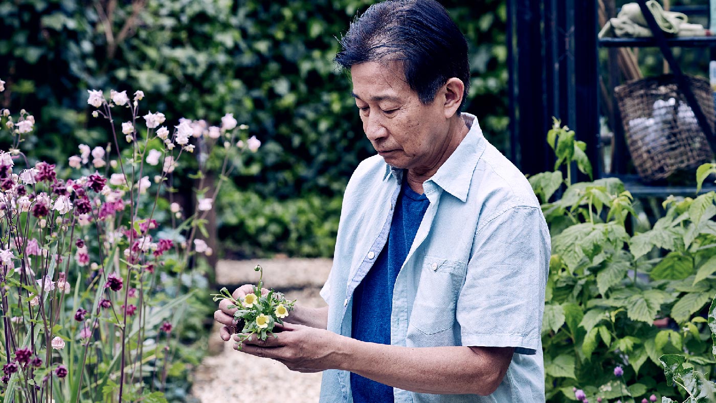 Asian middle-aged male Diabetes patient gardening