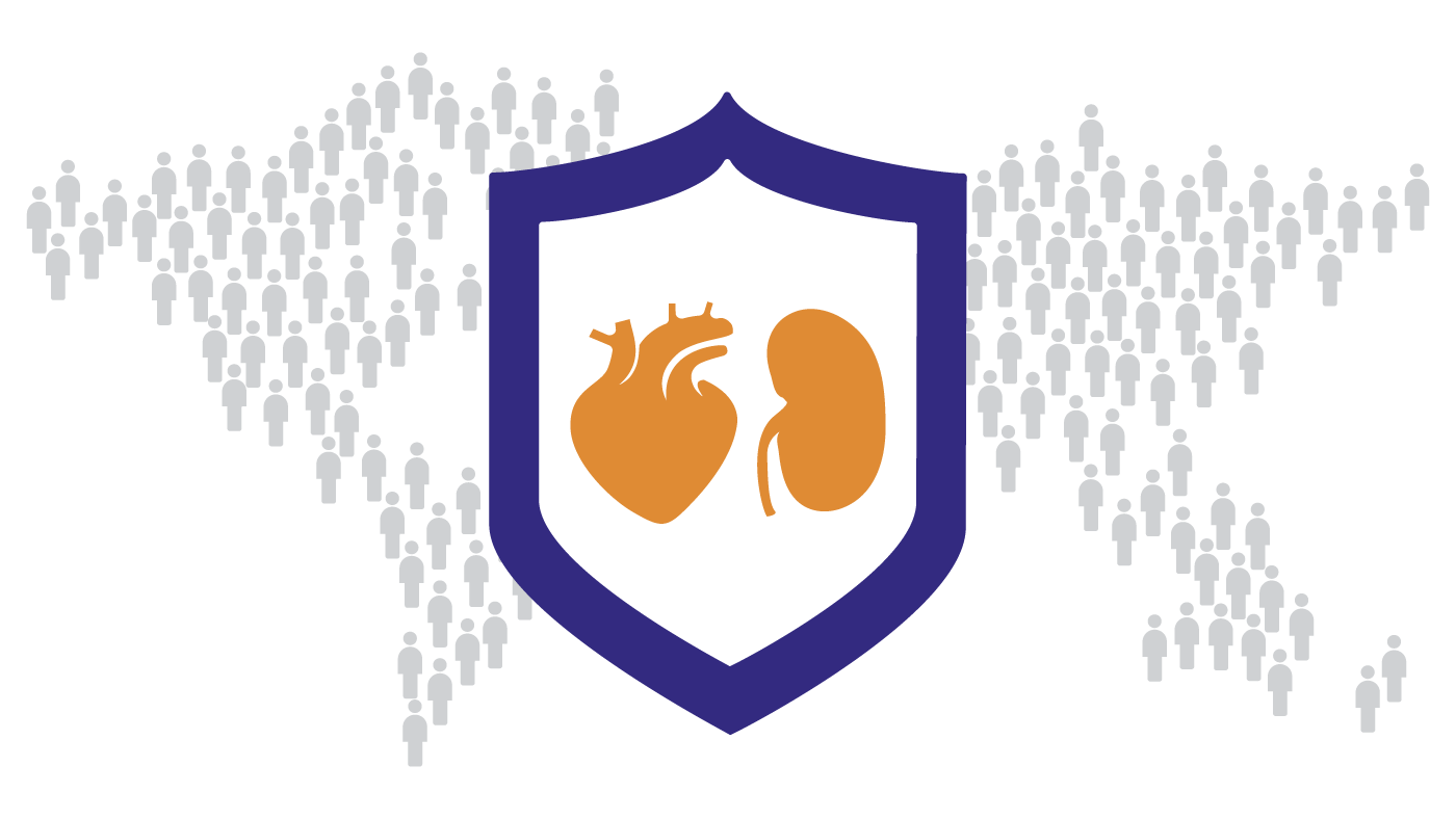 Trajenta global outcome program supporting cardiovascular and kidney safety profile