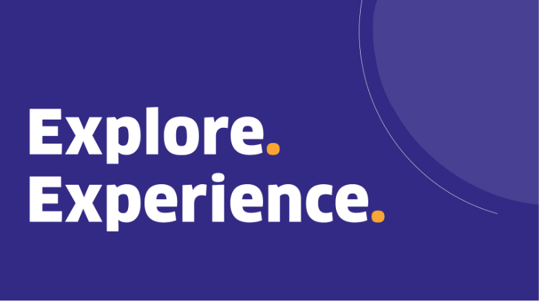 Explore a summary of the key characteristics of Trajenta